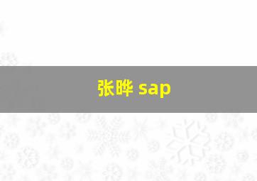 张晔 sap